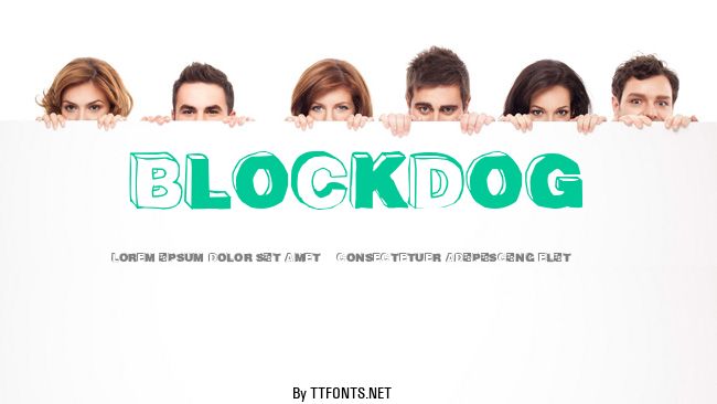 BlockDog example