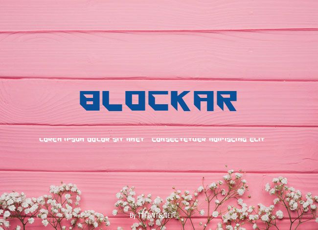 Blockar example
