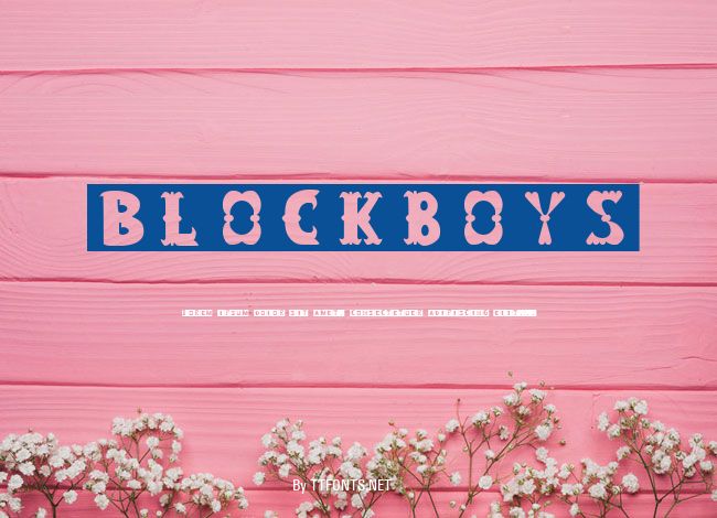 Blockboys example