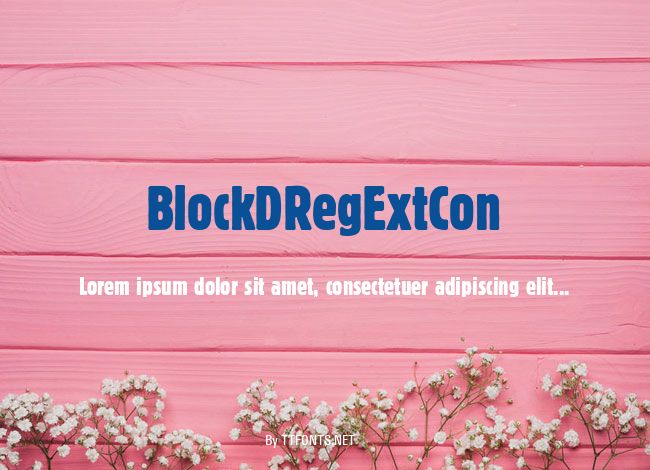 BlockDRegExtCon example