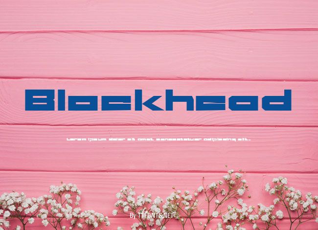Blockhead example