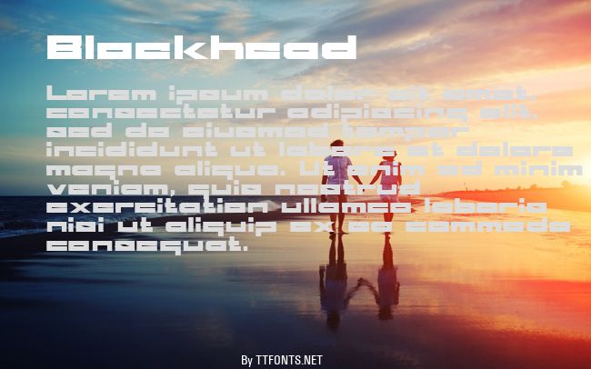 Blockhead example