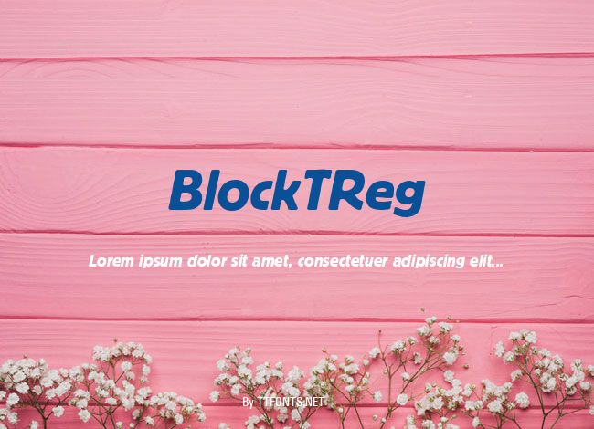 BlockTReg example