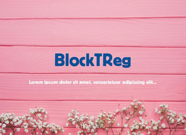 BlockTReg example