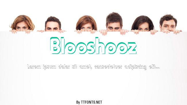 Blooshooz example