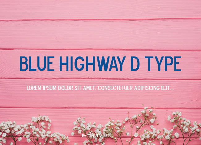 Blue Highway D Type example