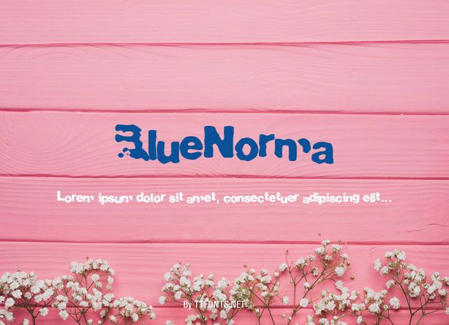 BlueNorma example