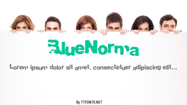 BlueNorma example