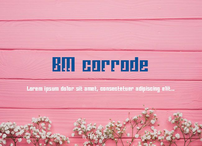 BM corrode example