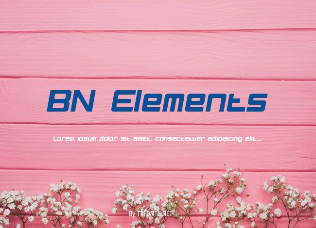 BN Elements example
