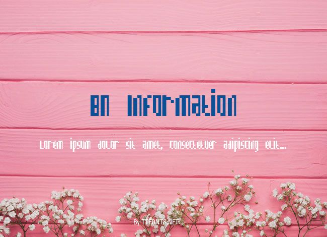 BN Information example