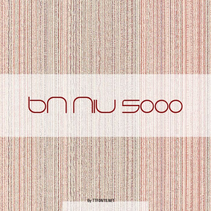 BN Niv 5000 example