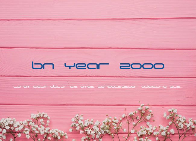 BN Year 2000 example