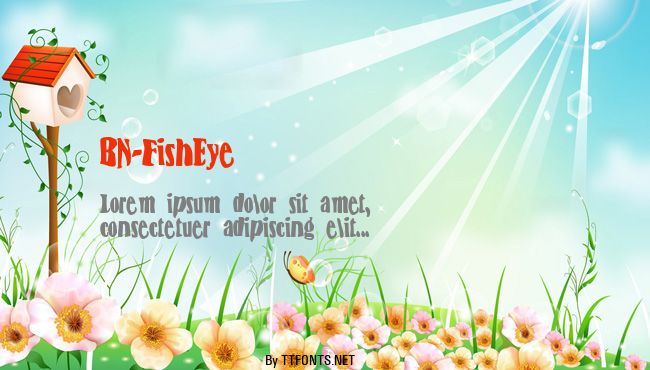 BN-FishEye example
