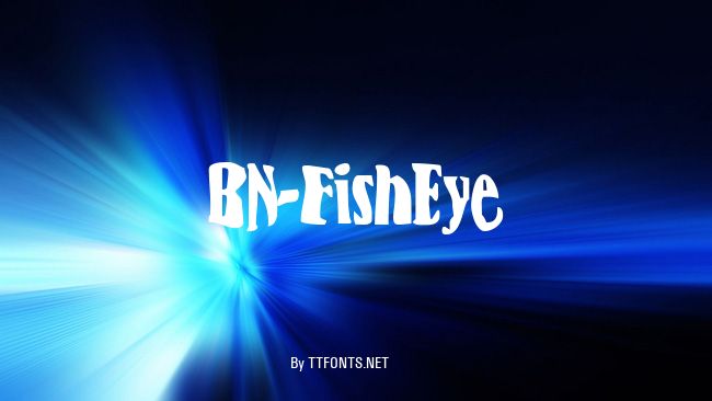 BN-FishEye example