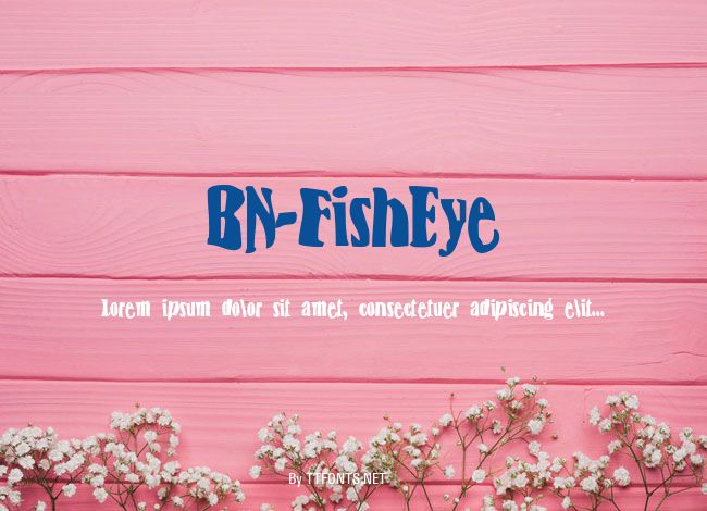 BN-FishEye example