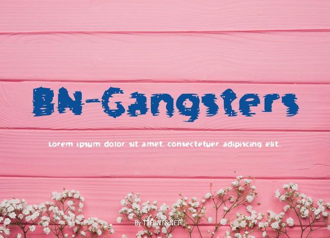 BN-Gangsters example