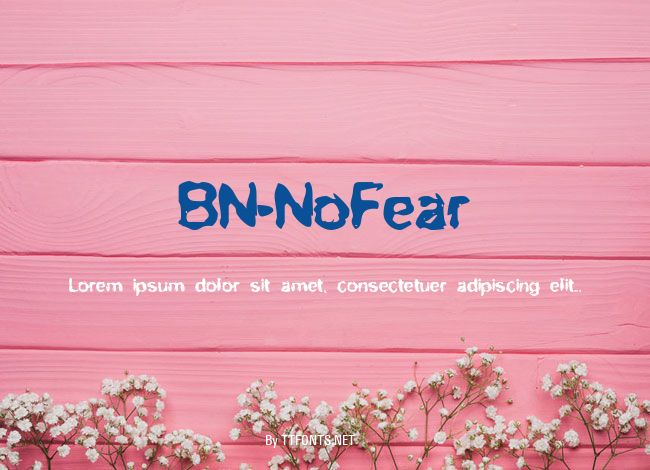 BN-NoFear example