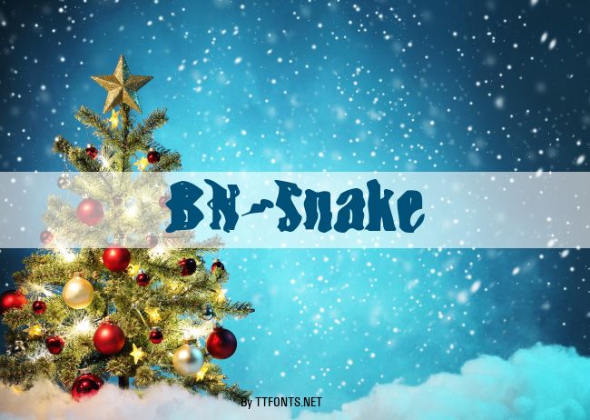 BN-Snake example