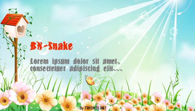 BN-Snake example