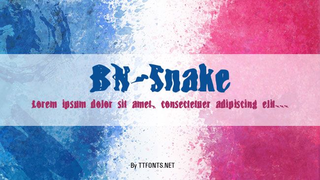 BN-Snake example