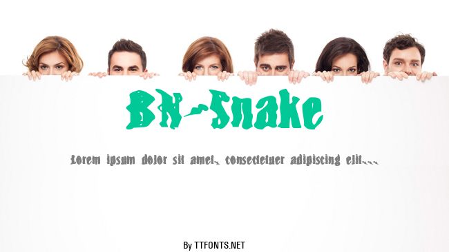 BN-Snake example