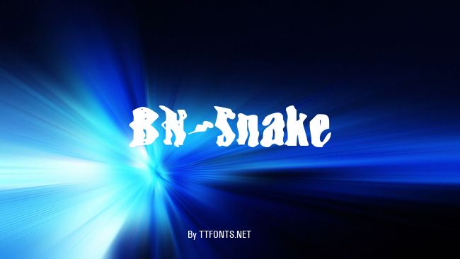 BN-Snake example