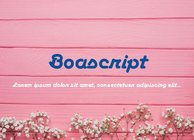 Boascript example