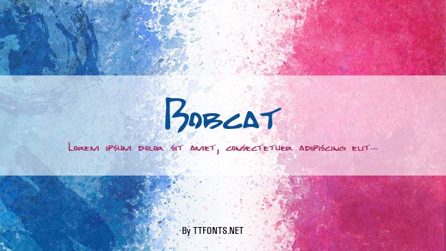 Bobcat example