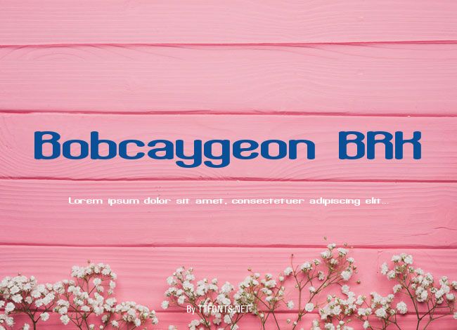 Bobcaygeon BRK example