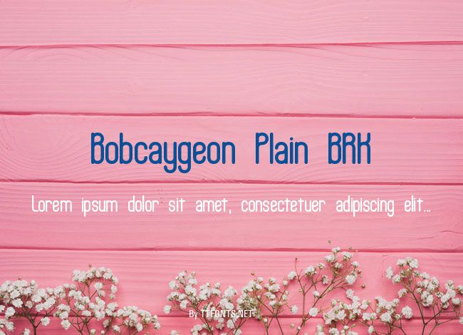 Bobcaygeon Plain BRK example