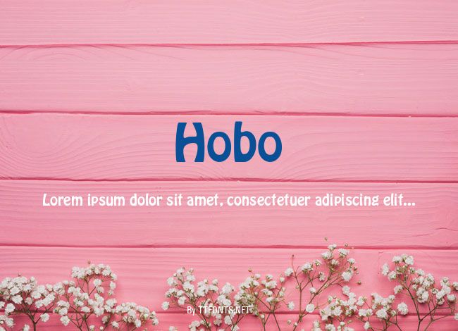 Hobo example