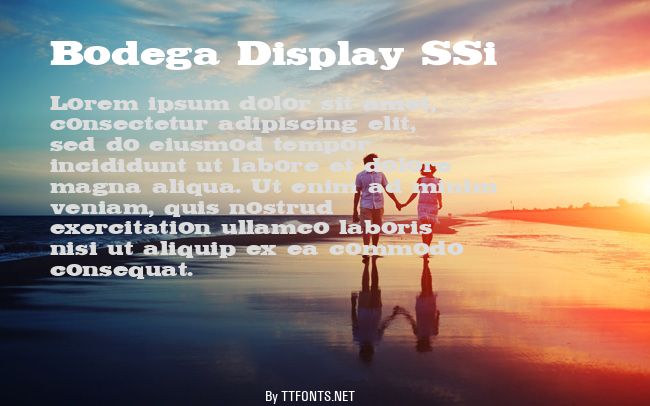 Bodega Display SSi example