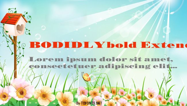 BODIDLYbold Extended example
