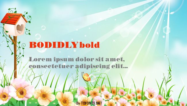 BODIDLYbold example