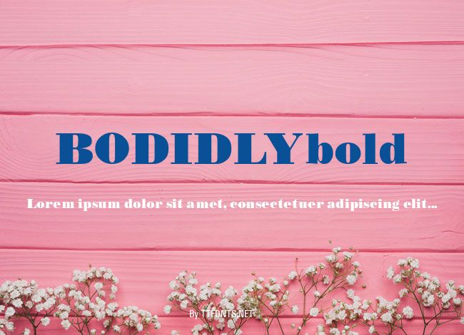 BODIDLYbold example