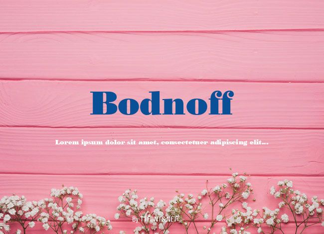 Bodnoff example
