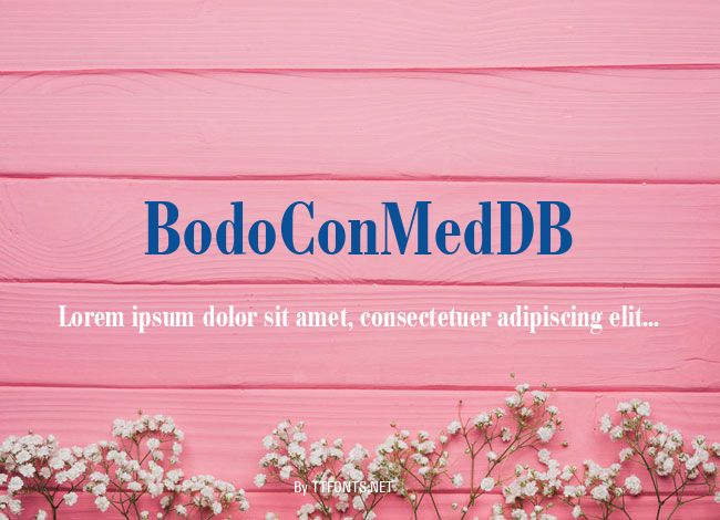 BodoConMedDB example