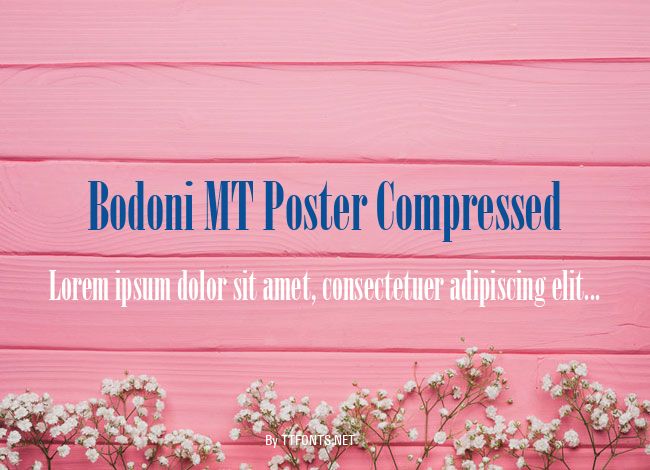 Bodoni MT Poster Compressed example