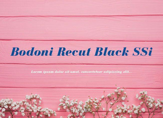 Bodoni Recut Black SSi example