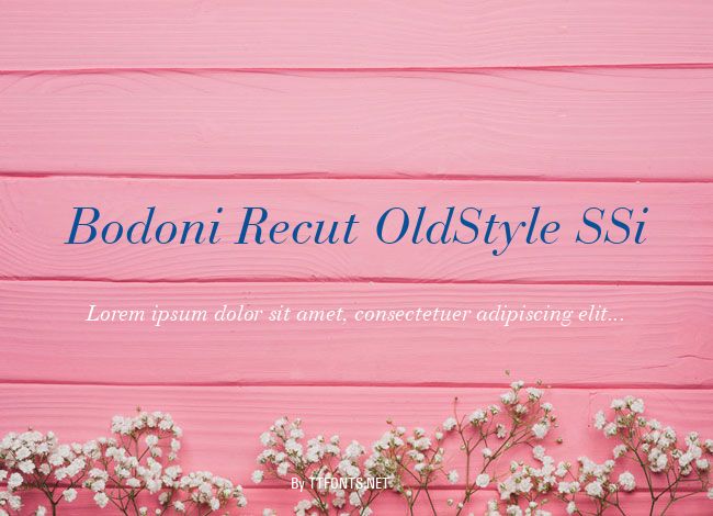 Bodoni Recut OldStyle SSi example