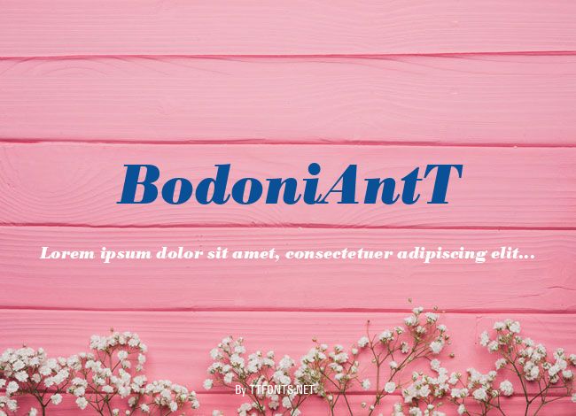 BodoniAntT example