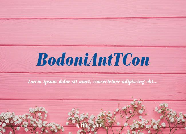 BodoniAntTCon example