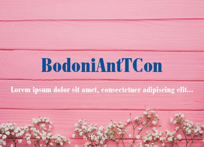 BodoniAntTCon example