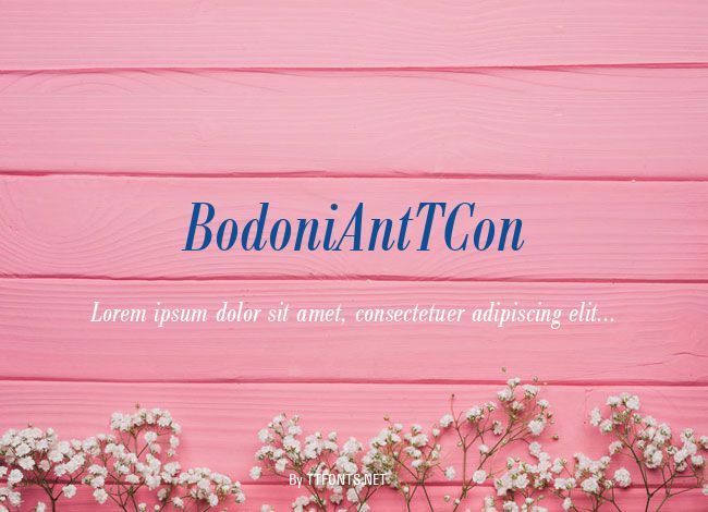 BodoniAntTCon example