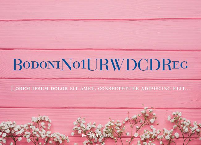 BodoniNo1URWDCDReg example