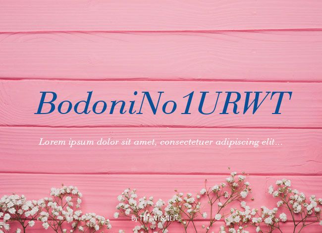 BodoniNo1URWT example