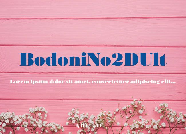 BodoniNo2DUlt example