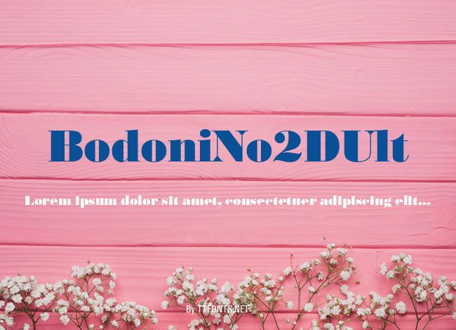 BodoniNo2DUlt example
