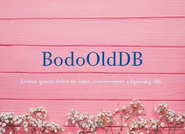 BodoOldDB example